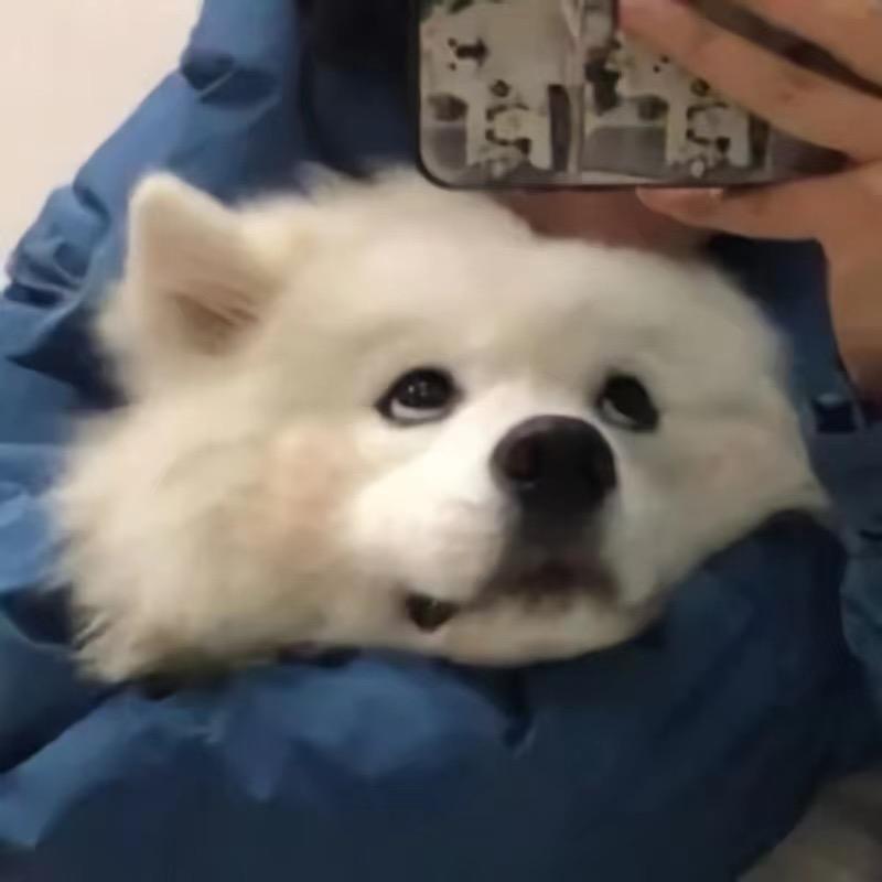 咕噜咕噜🚼