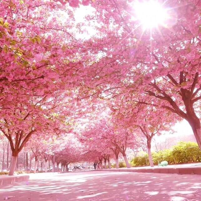 风景如画送你好物分享