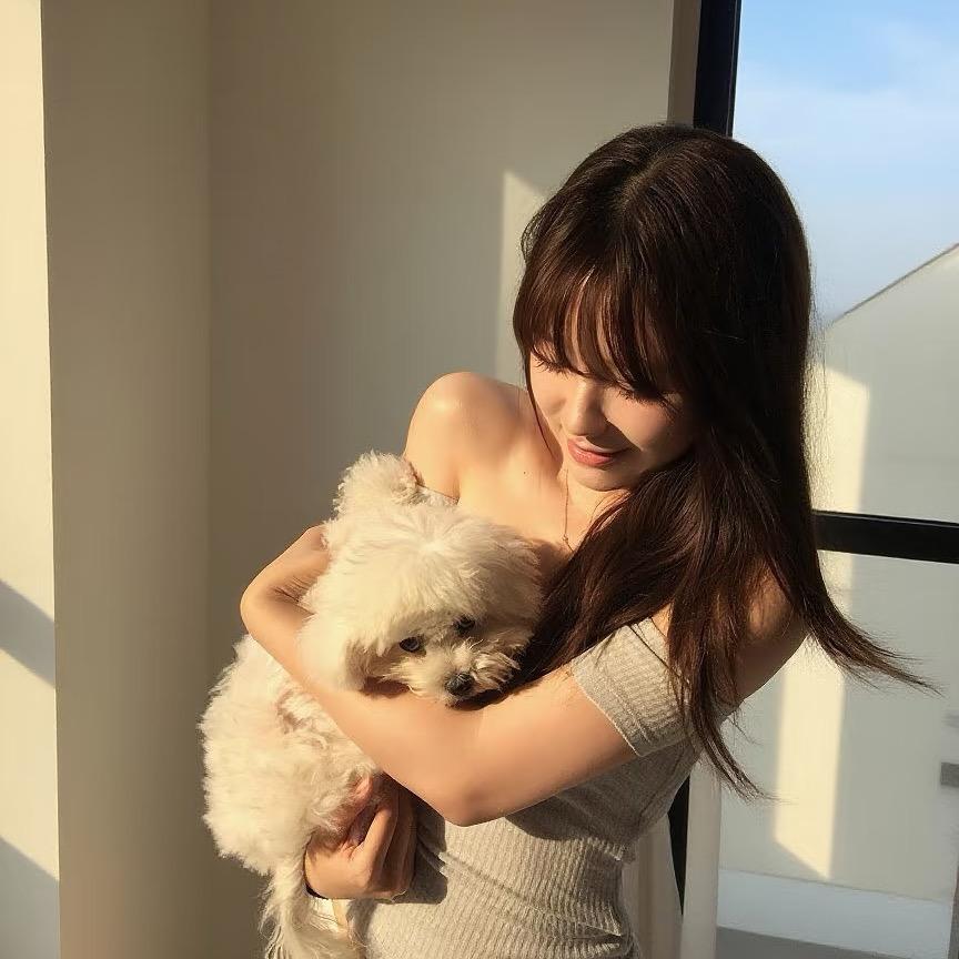 海苔紫菜是一个东西