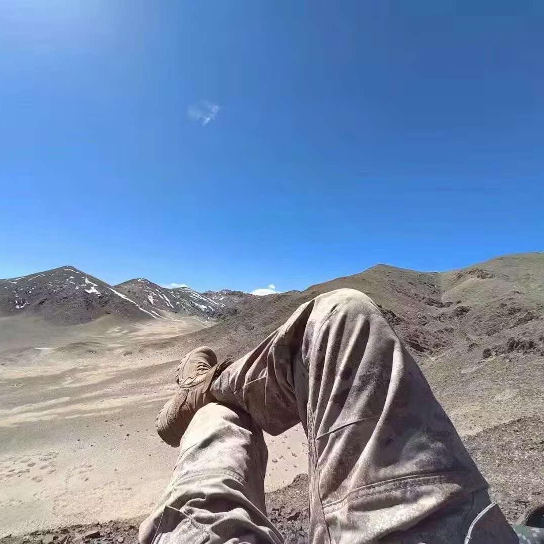 根正苗红