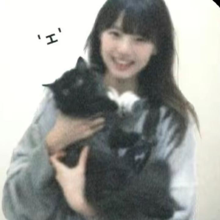 不说再见还会再见吗