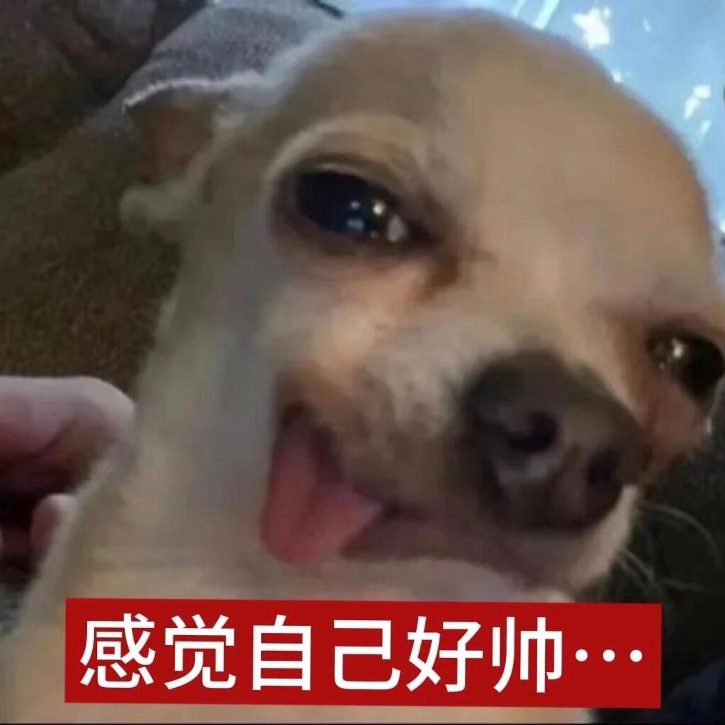 帅到爆
