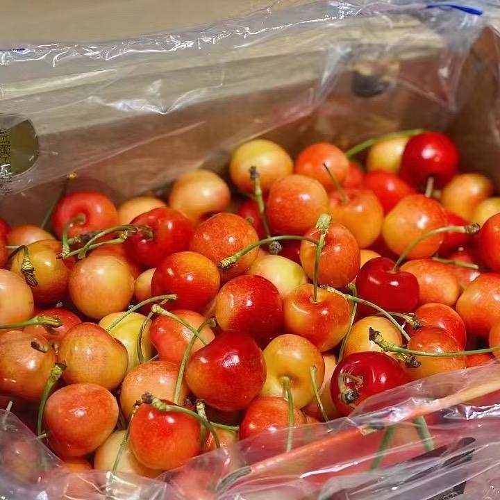 莹瑶果业小时达