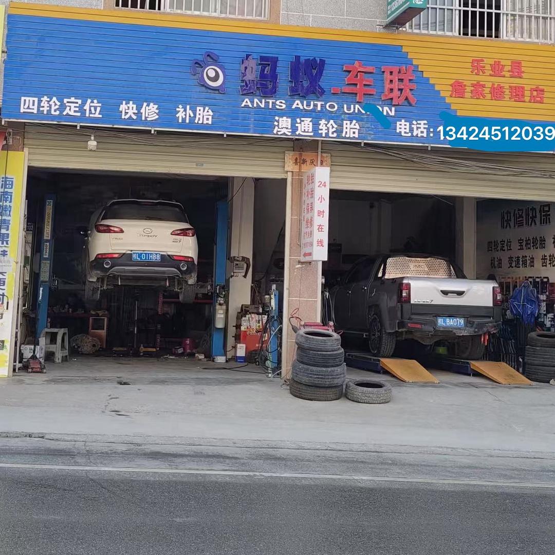 乐业当站蚂蚁车联