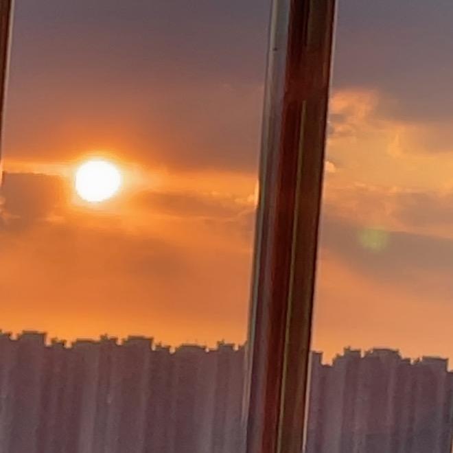 👫回不到从前的傻猪猪