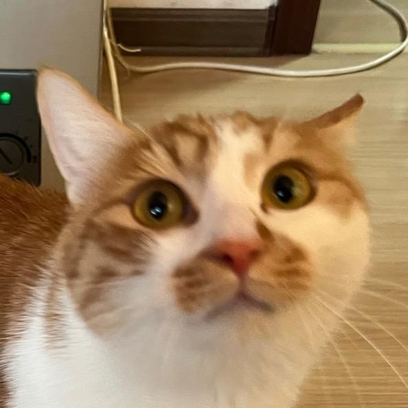 哒哒哒哒哒哒哒哒哒哒哒哒哒哒哒哒哒哒