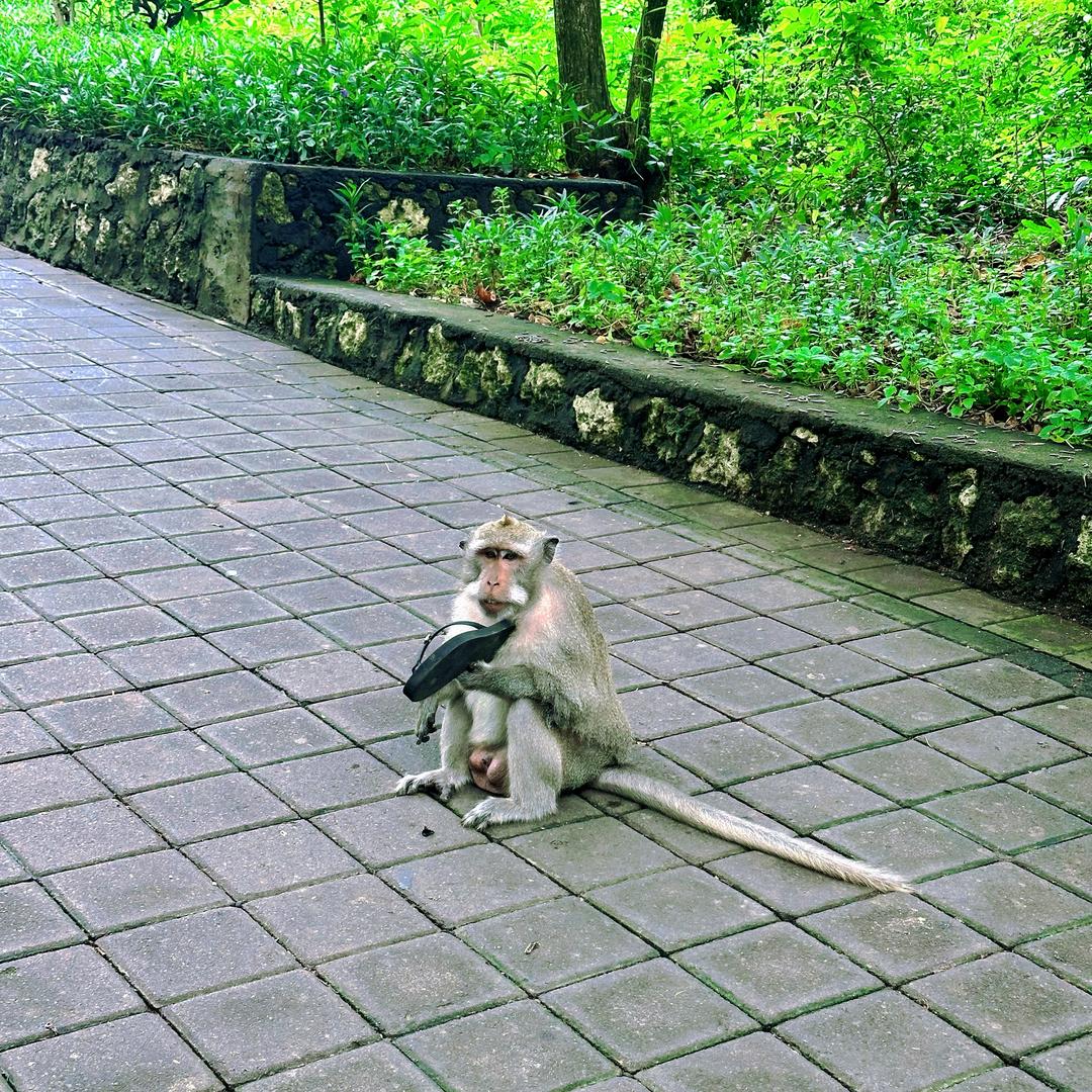 第 N 种人