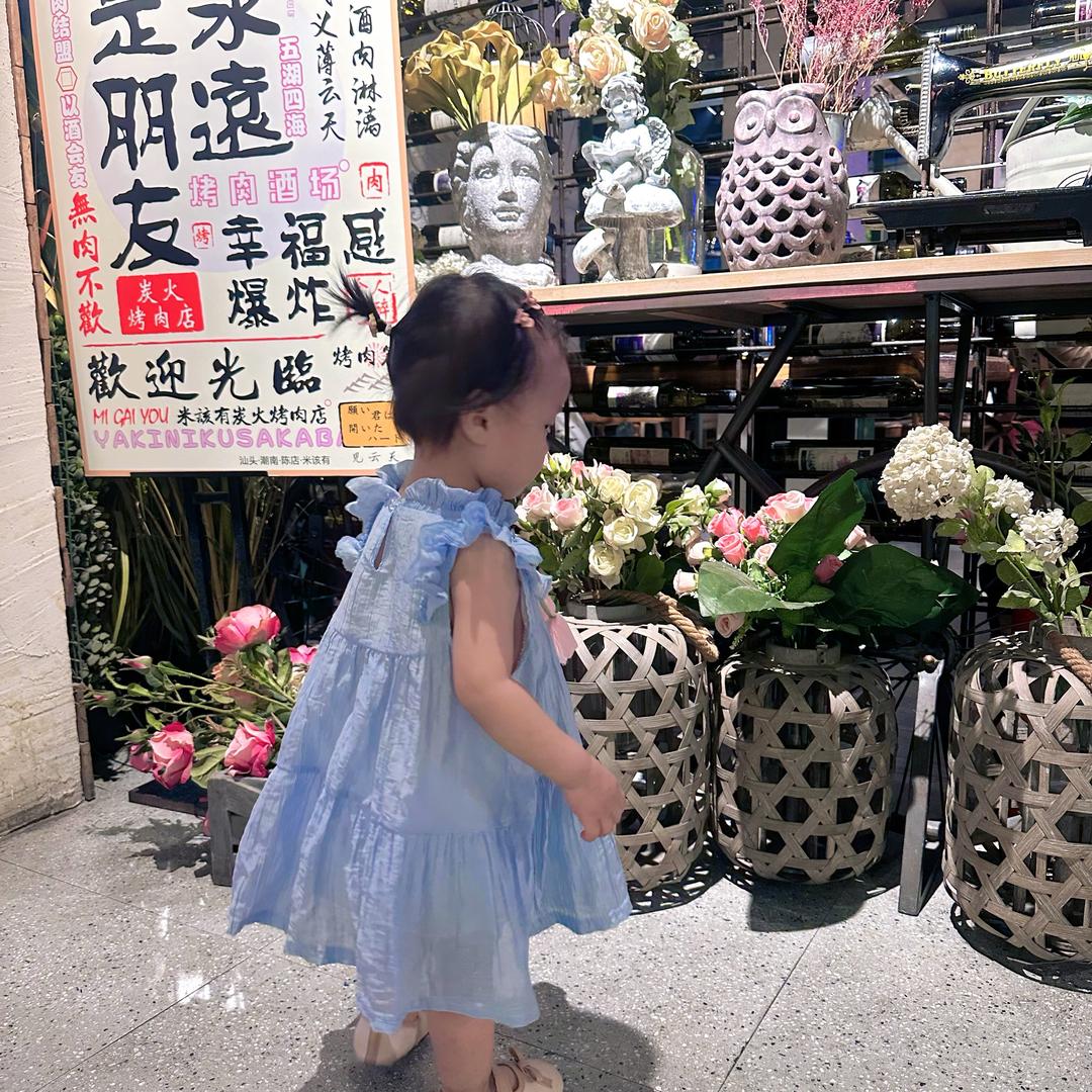 金毛