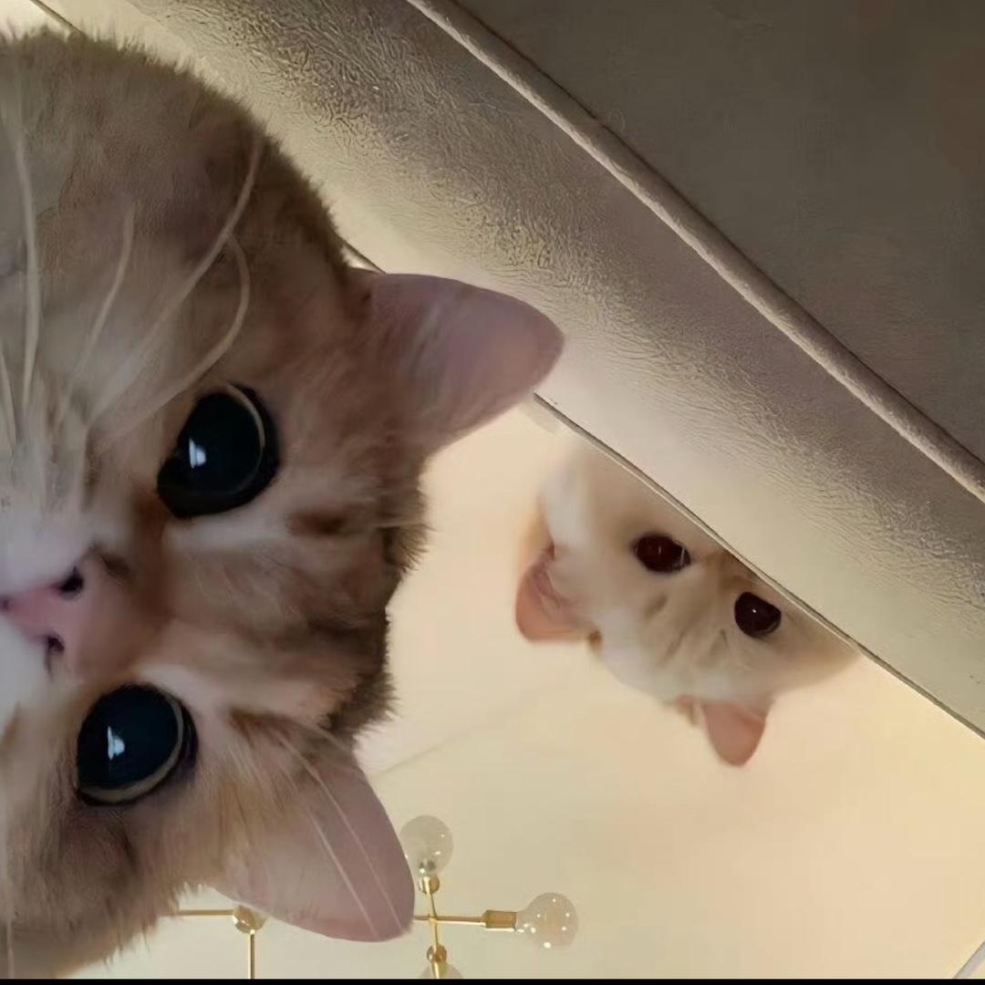 小满