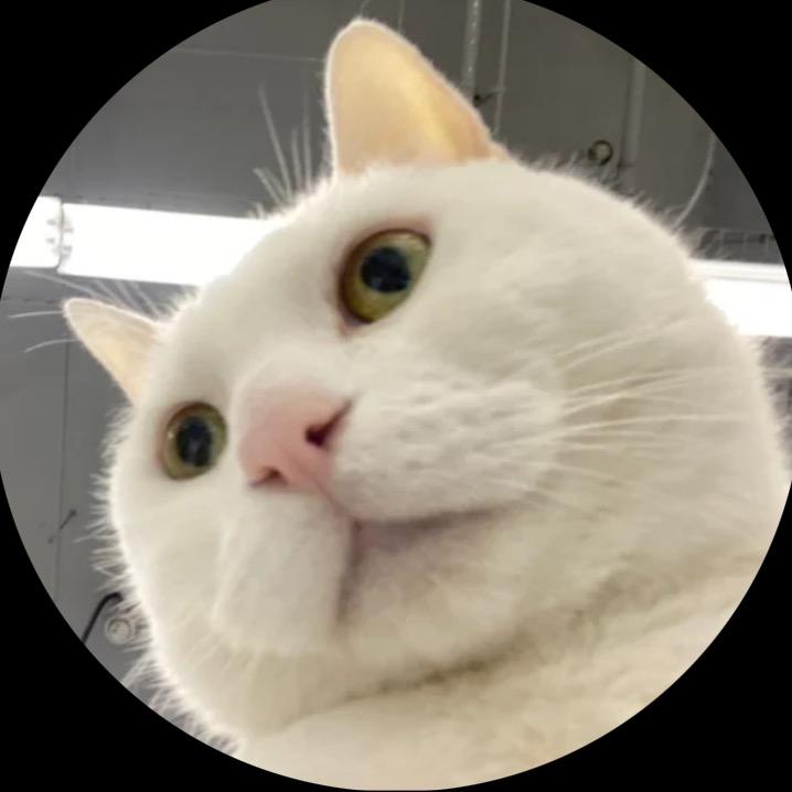 雪碧大人