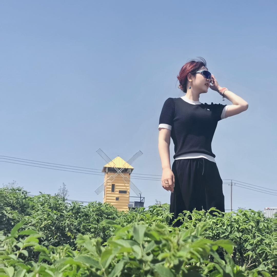 东升辰头像