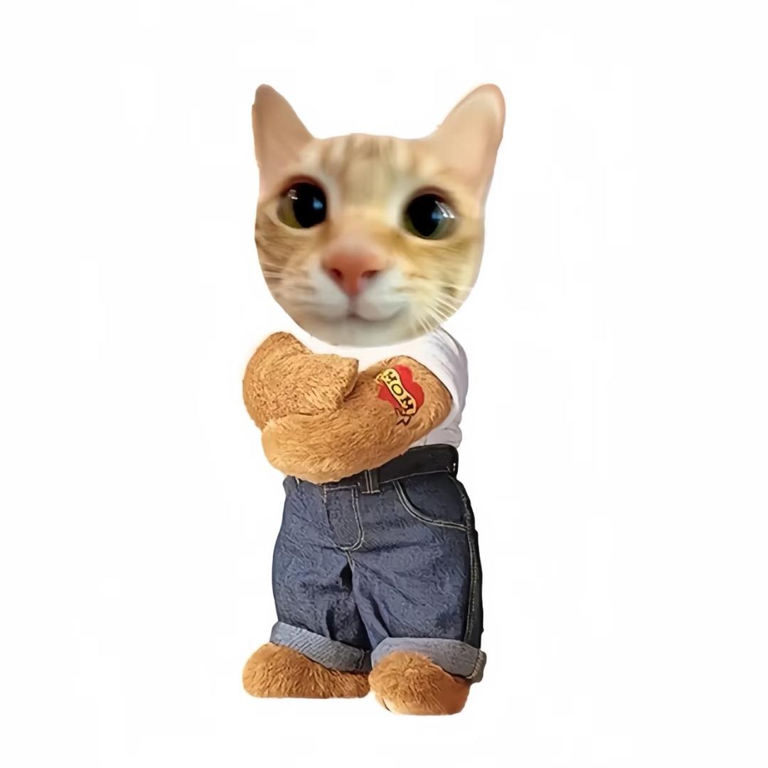 冷冰冰.