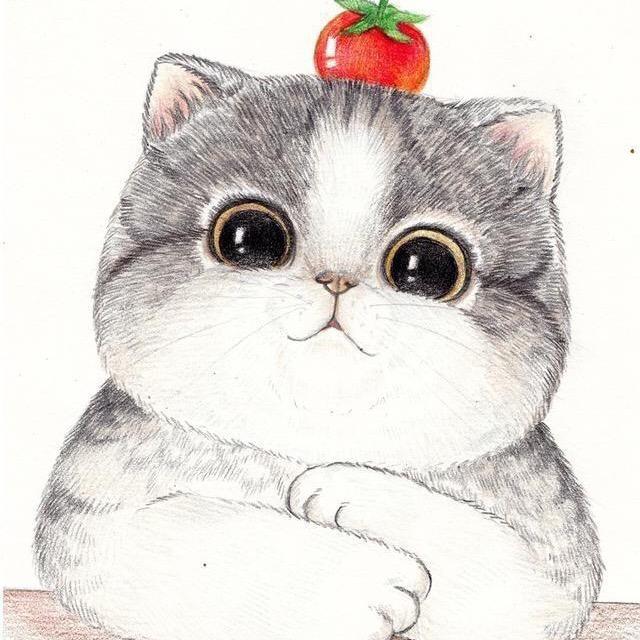 墨迹猫