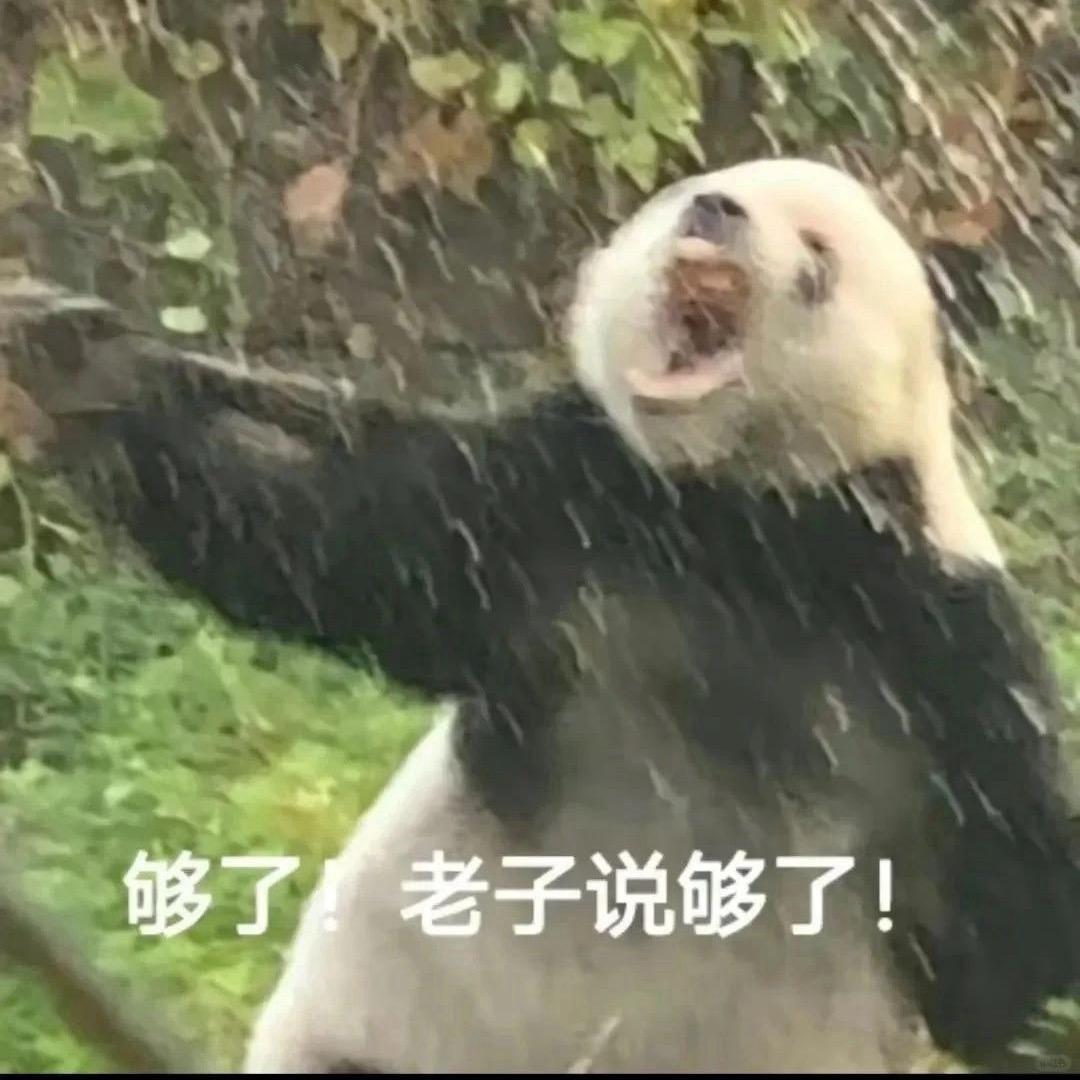 极端的浪漫