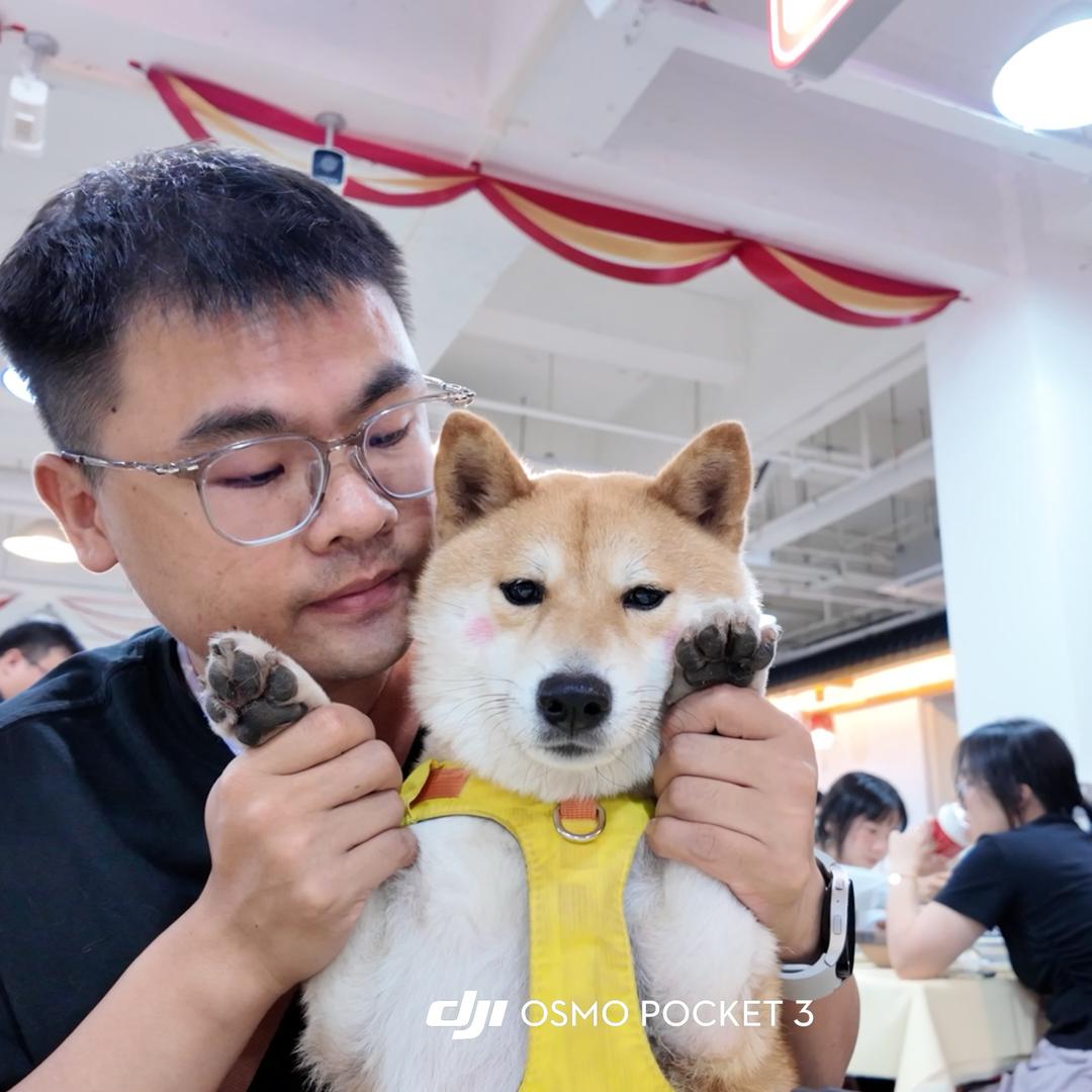 顾白是只狗