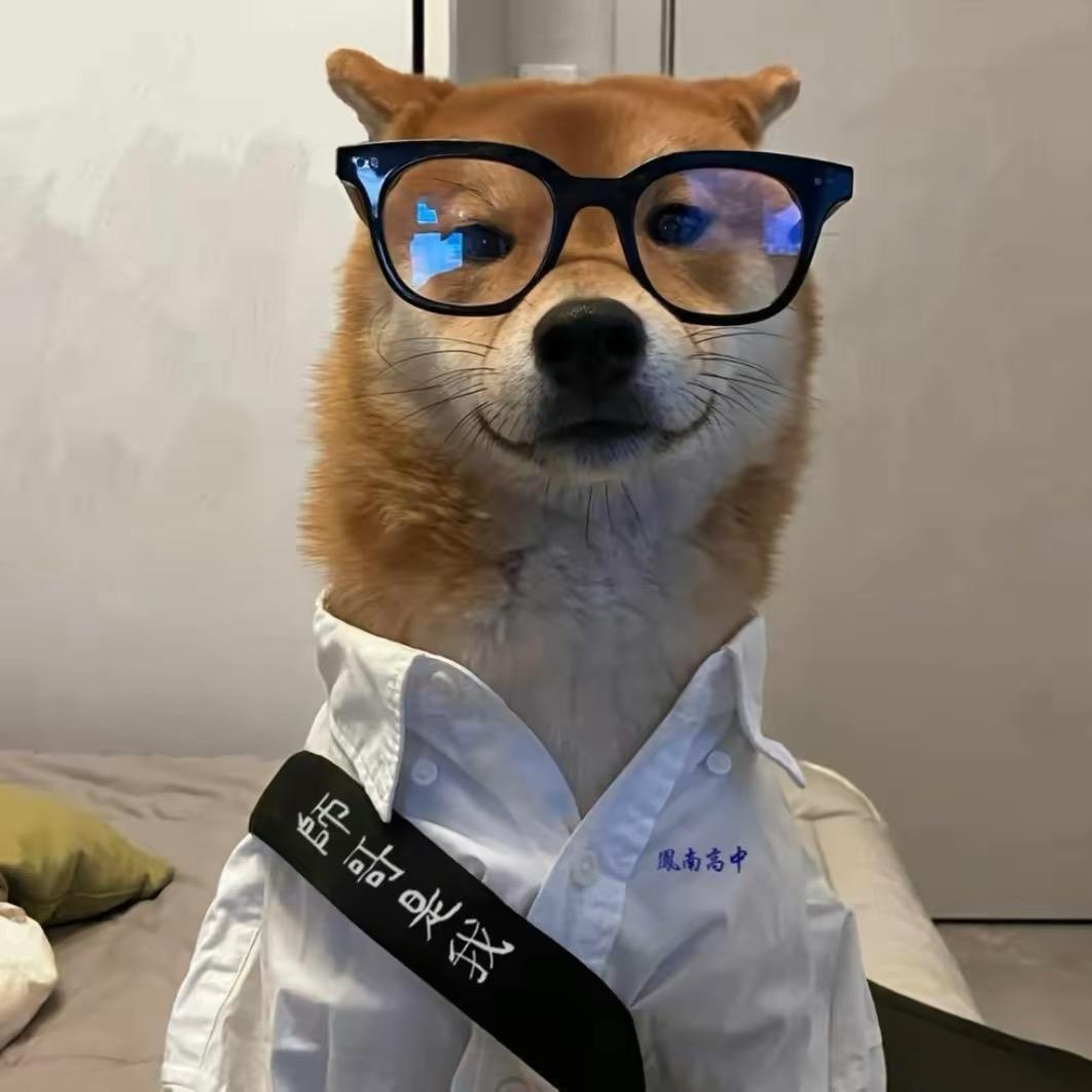 仅剩玫瑰一片