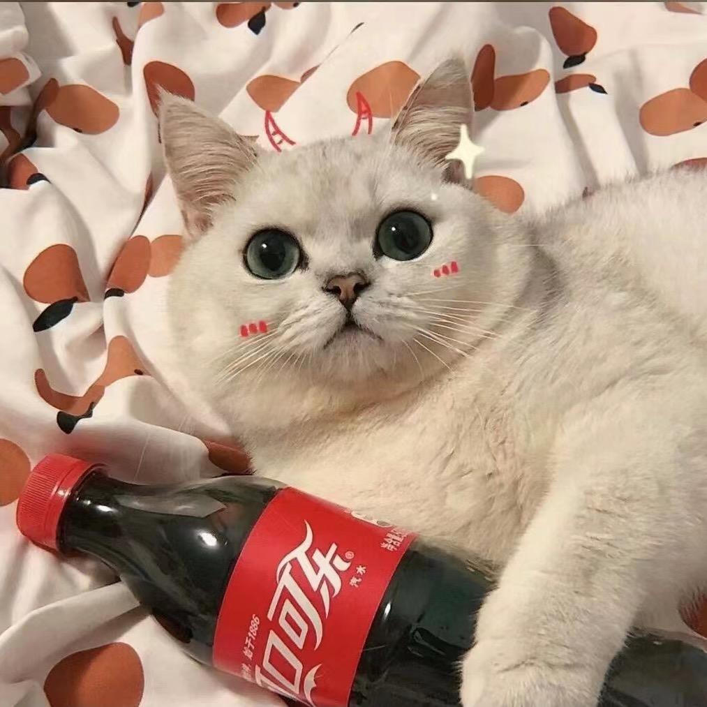 舒心♥️