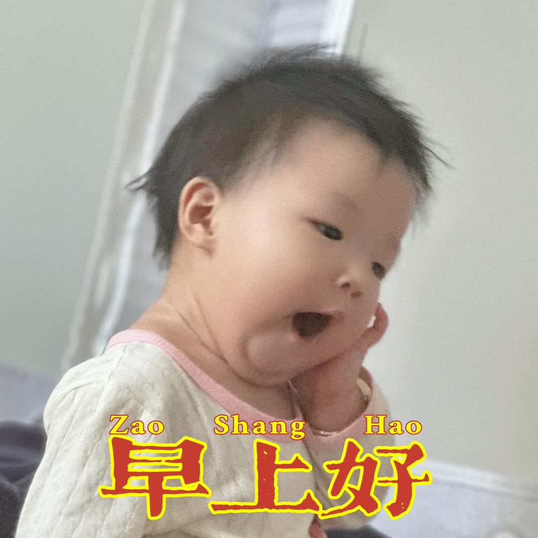 ♪ Morri 𓆡𓆝𓆟𓆜𓆞