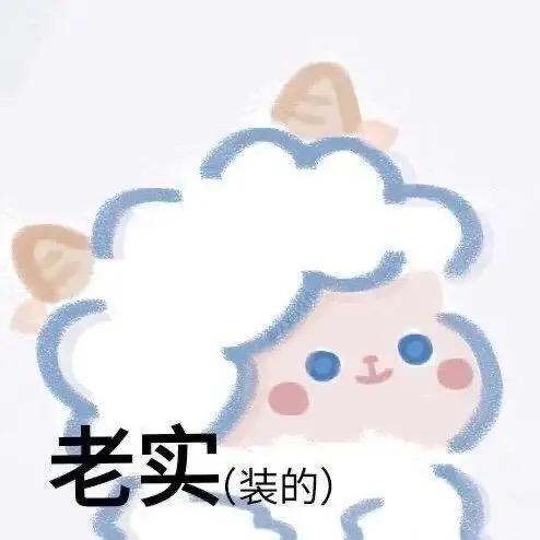 飞车文崽