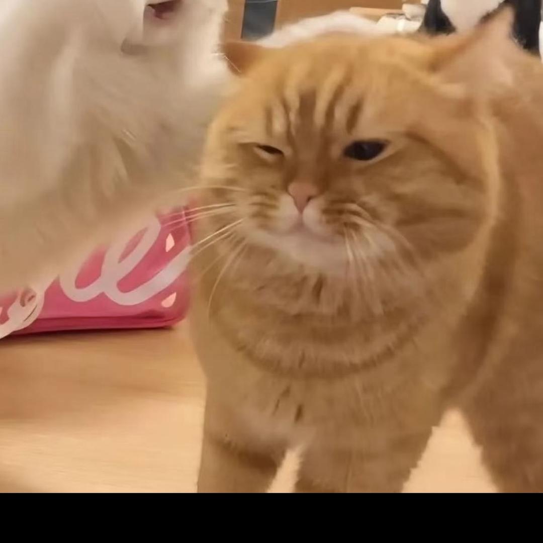明