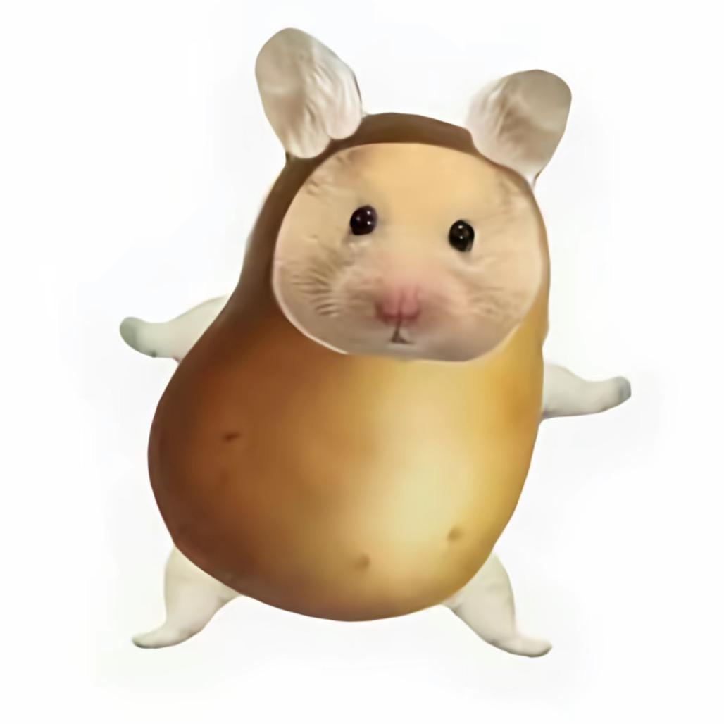 张遮