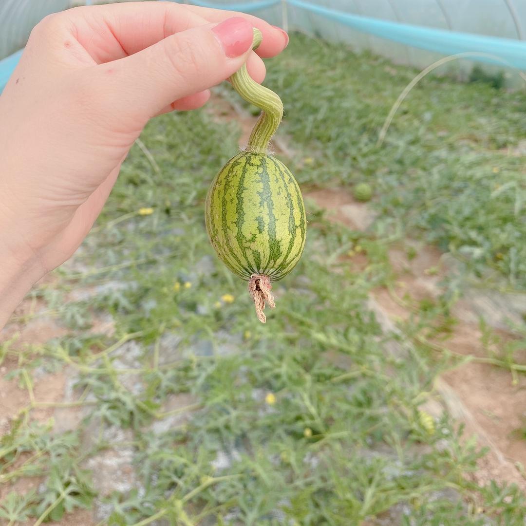 糖果很甜 ~