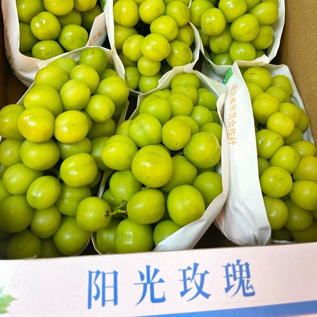 随园水果娟娟
