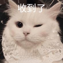 Meimei紫猫文具店