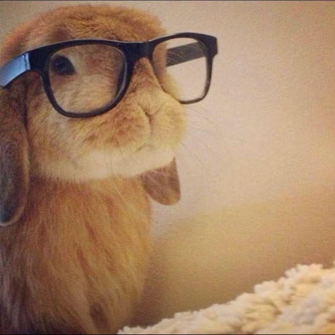 ꒦ິ^꒦ິ小卷一号🩵🩷