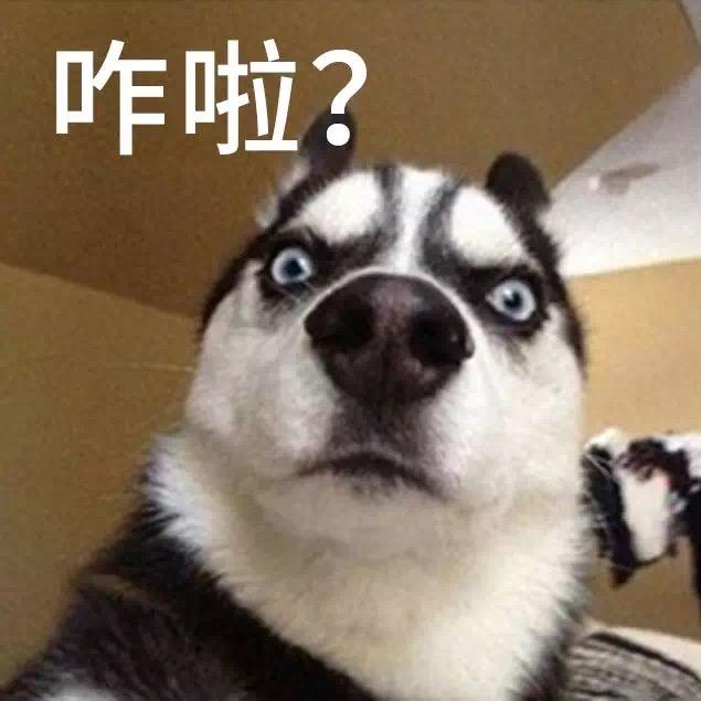 Amy小宝贝