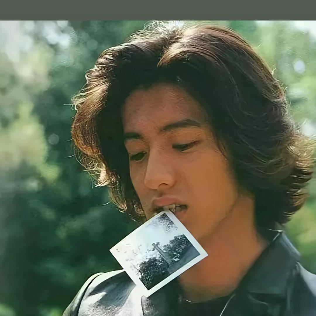 爬山虎和向日葵的爱情