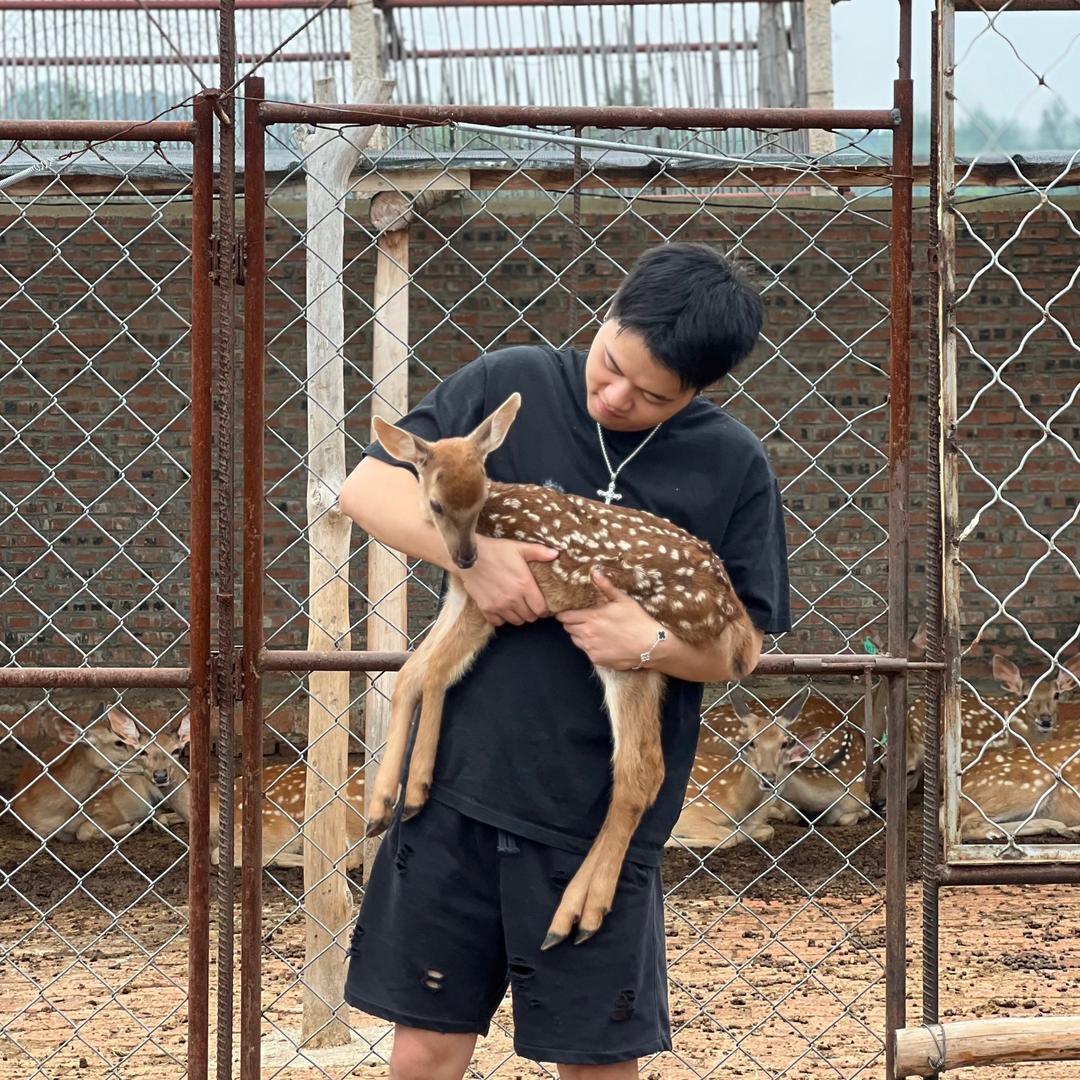 福鹿来小铭