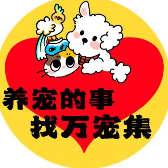 万宠集宠物超级mall