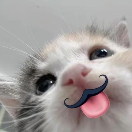 ovo