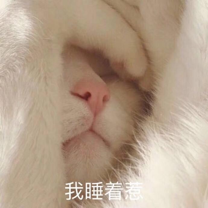 犹如酱～