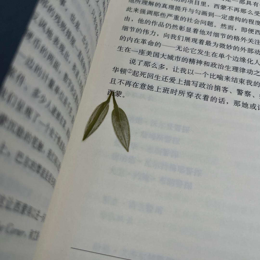 用混凝土浇筑头颅去埋土种向日葵头像