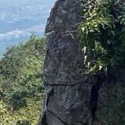 宋清源