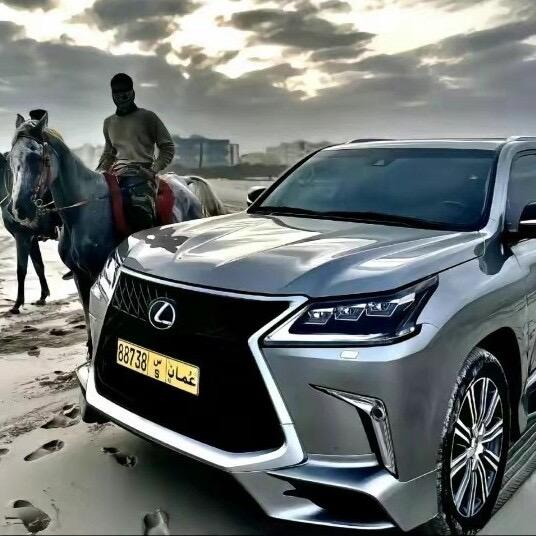 ࿐藏小龙🔥🔥