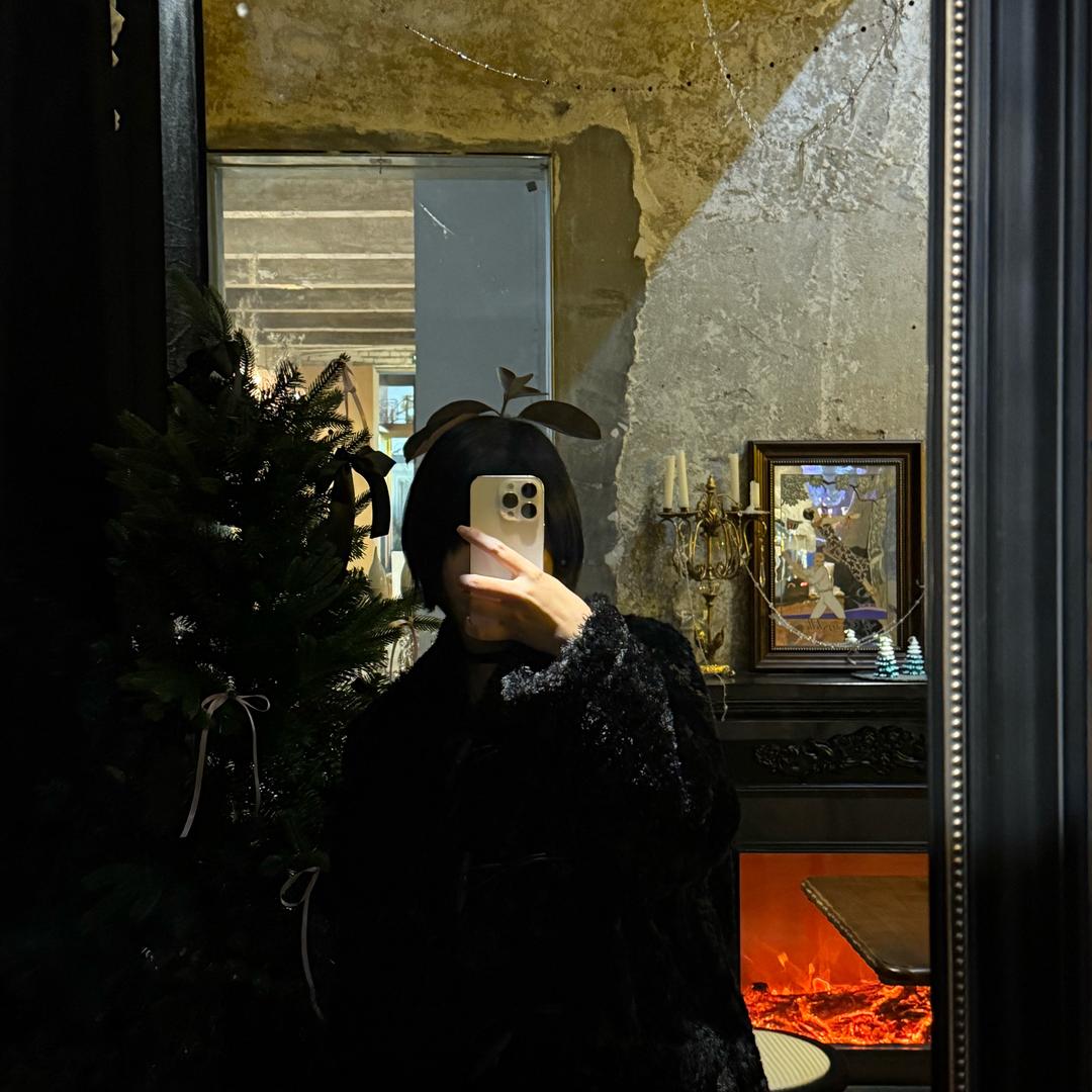 Minerva降落🪂