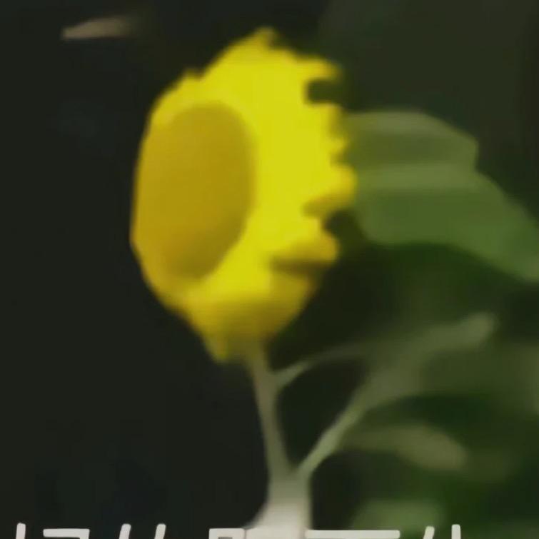 每天开心🥳