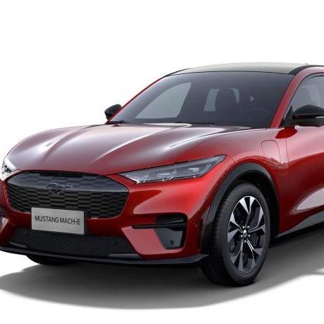 🐯🔥KING🔥🐯