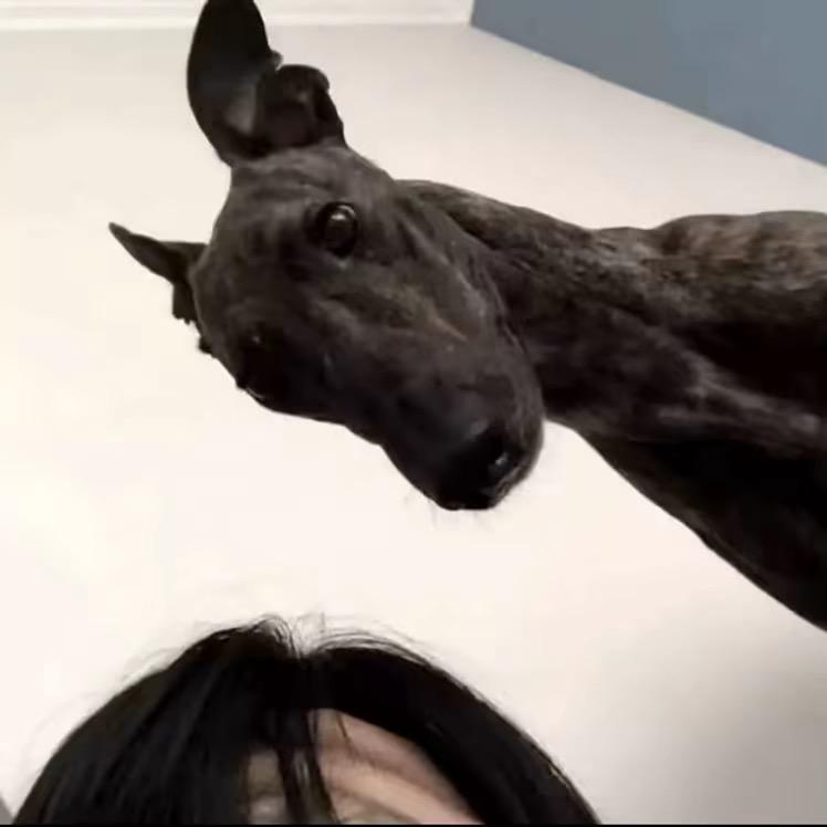 生活总给我开玩笑