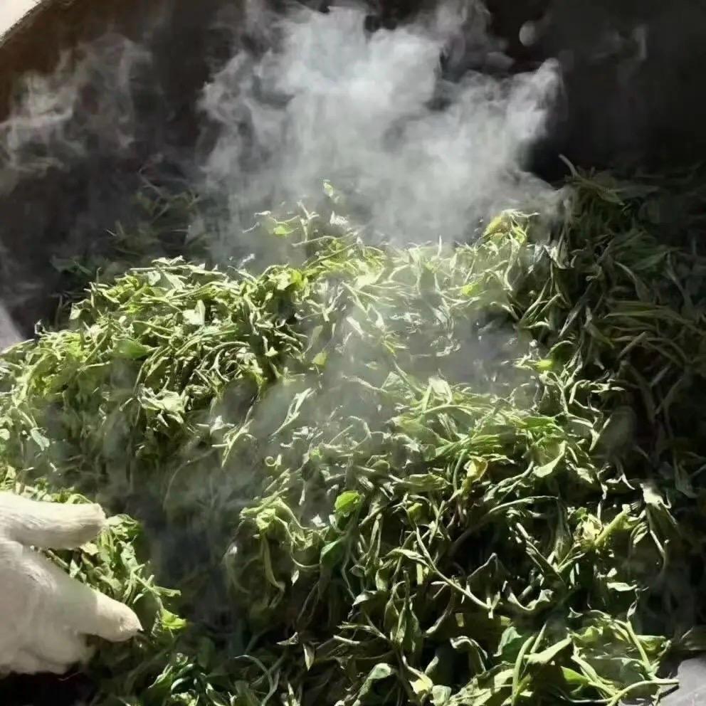 冰岛产区，自家茶园，自家初制欢迎合作