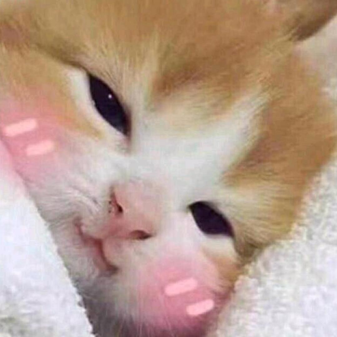 思绪又回那年冬