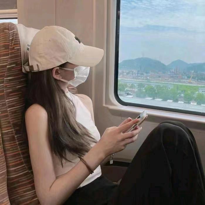 里里的小海豚