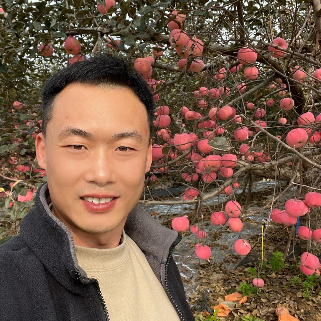 栾哥的莱阳果园