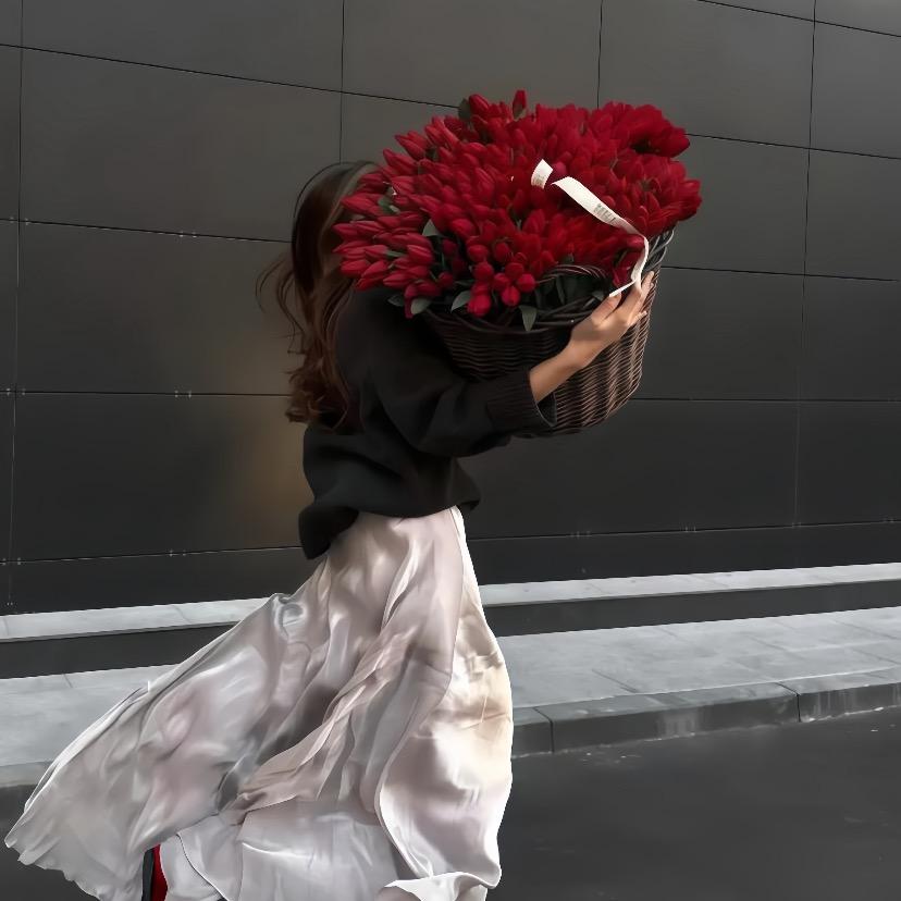 𝑲𝒐𝒊.