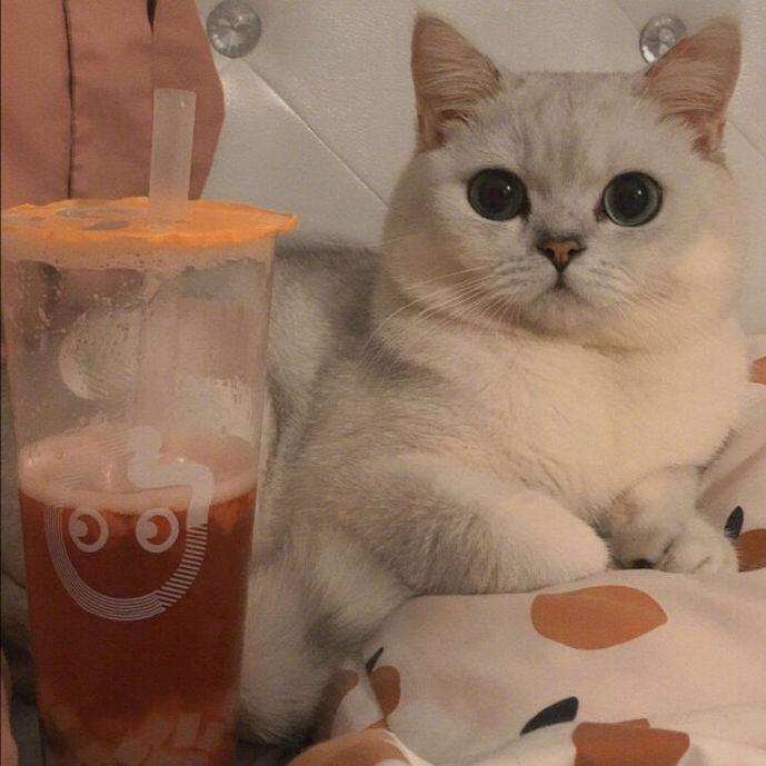 一分利日用百货