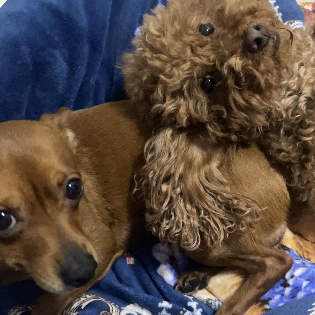 你的一程，他的一生