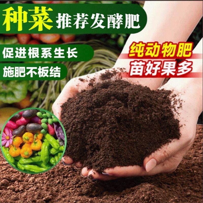 肥沃沃花卉园艺